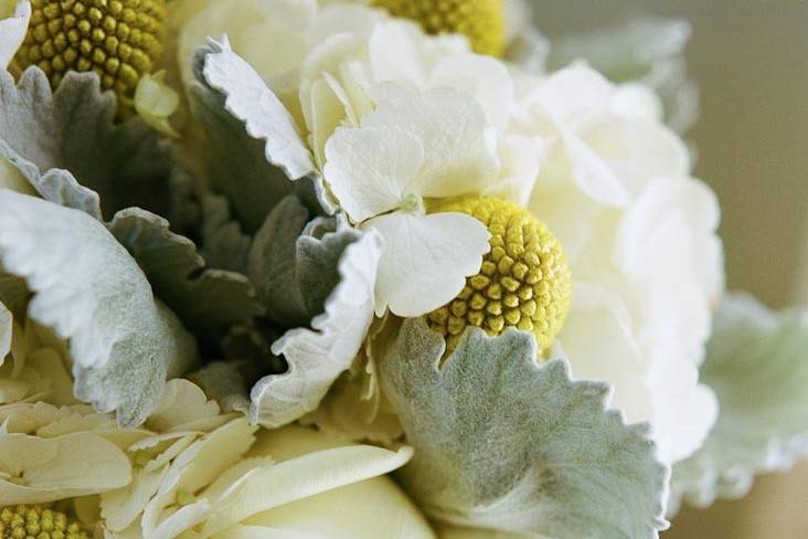 Close-up of bouquet