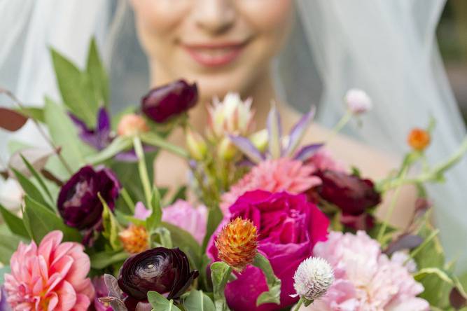 Tiger Lily Weddings