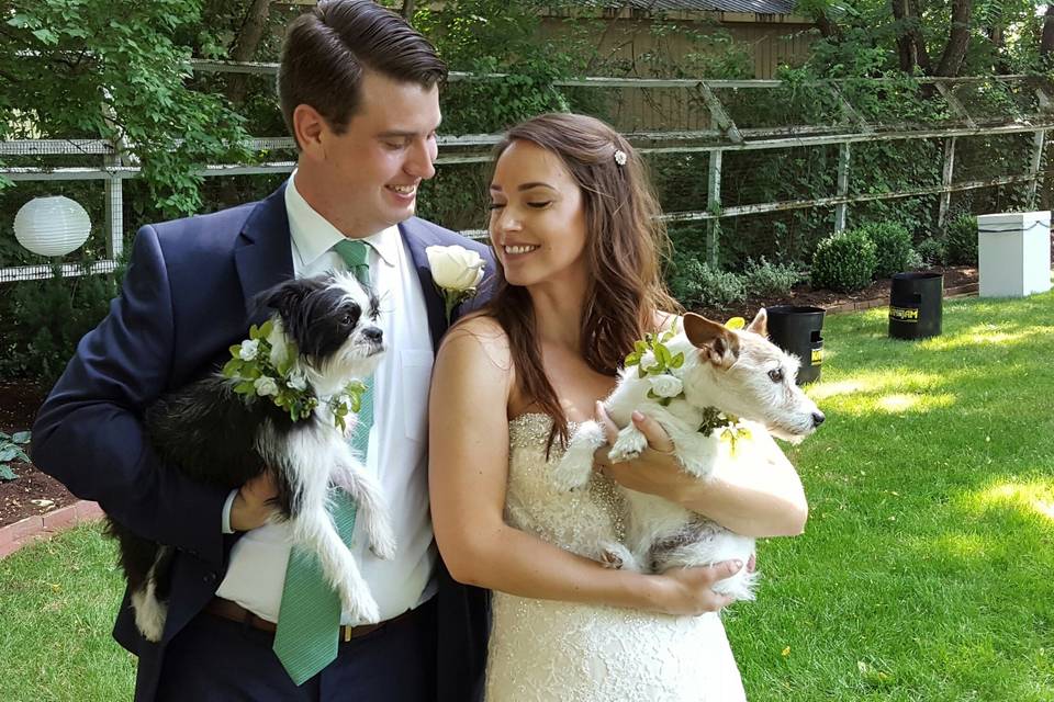 Newlyweds and their dogs