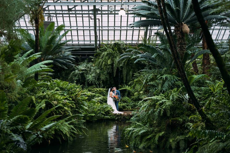 Conservatory Magic