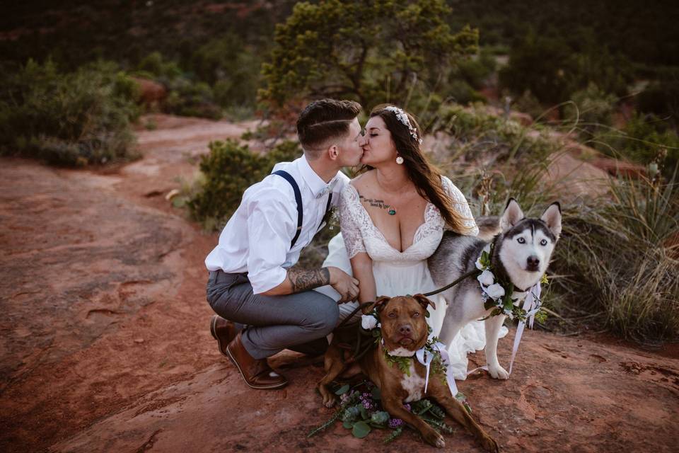 Sedona wedding with dogs