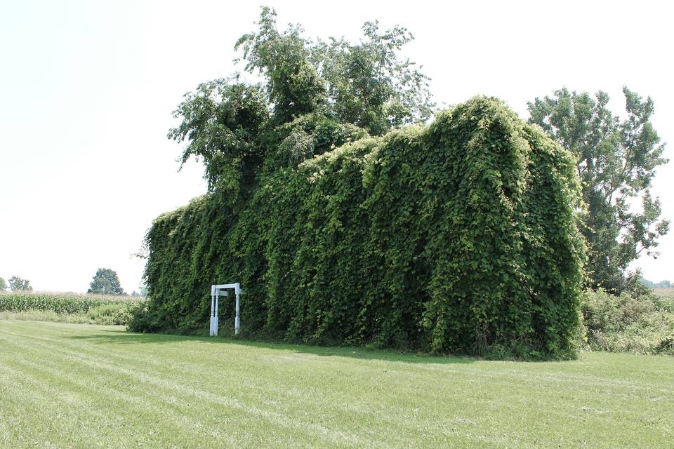 Corn Crib Ceremony Space