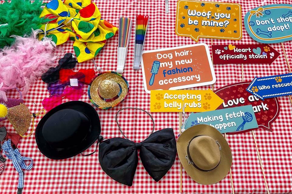 Dog party props