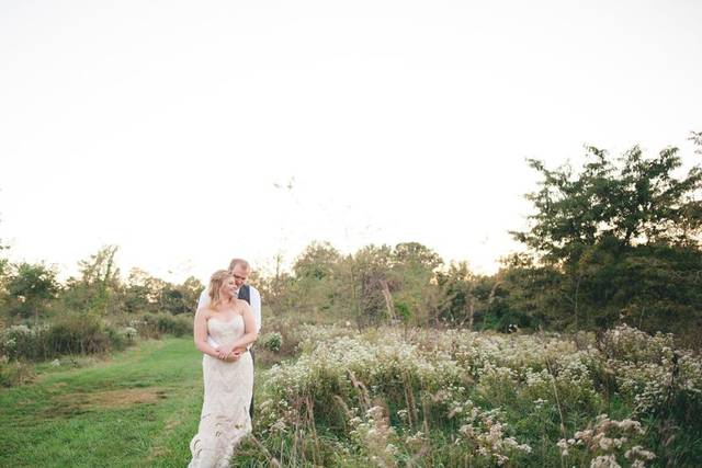 In the meadow at golden hour