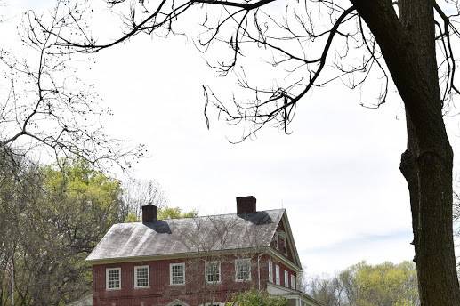 A view of the grounds