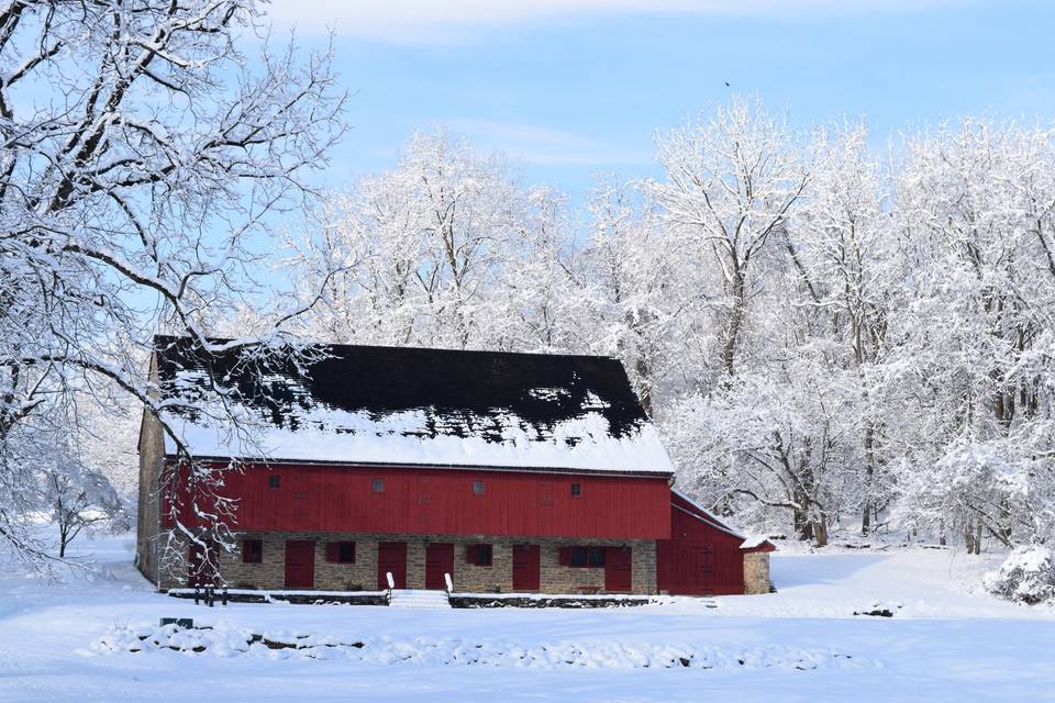 The house in winter