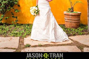 Jason Q Tran Photography