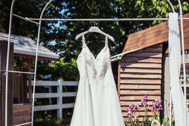 Brides one and only dress