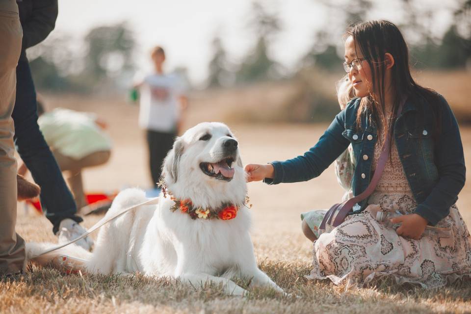 Kids and the dogs