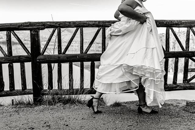 Granite Stag Photography