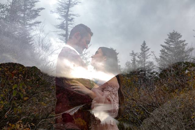 Granite Stag Photography