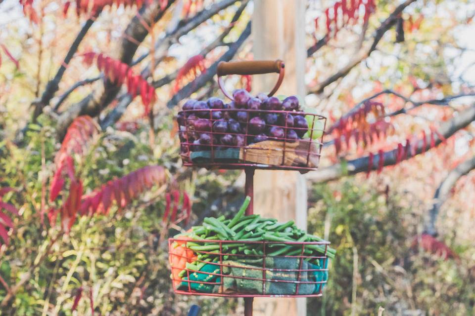 Fruits and vegetables station