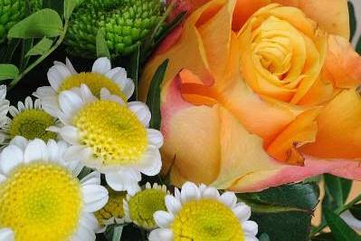A Miracle Florist