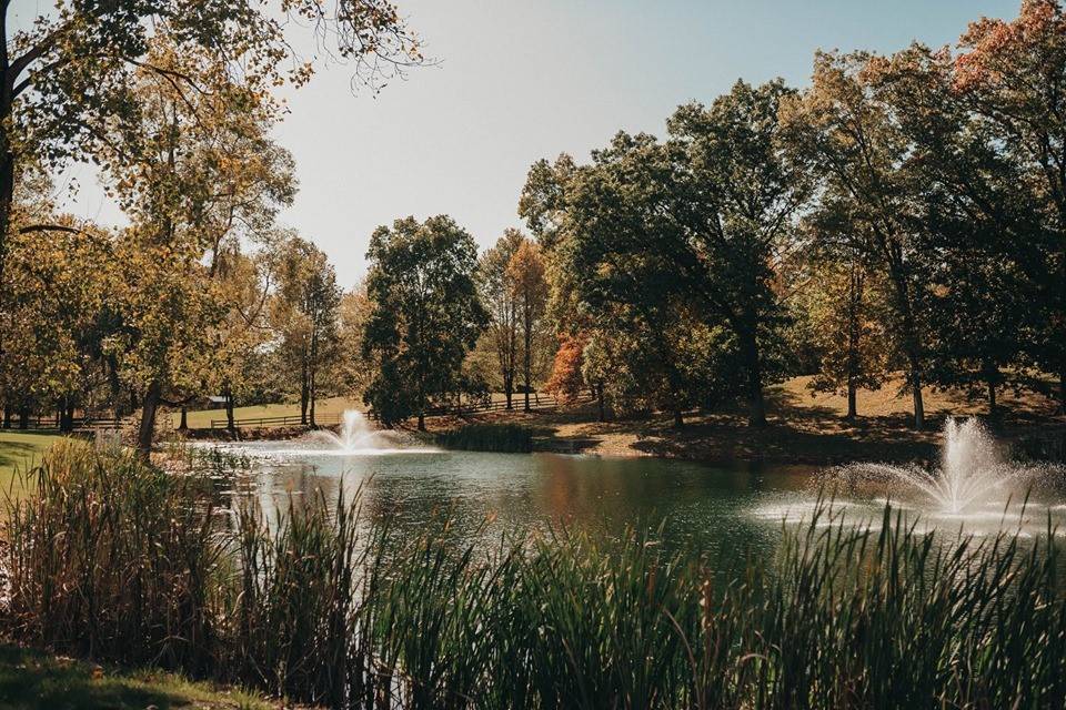 Fountains