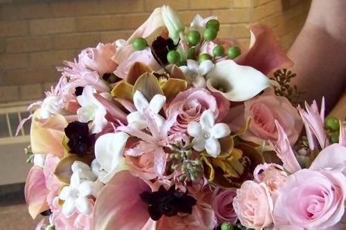 bridal bouquet with chocolate cosmos, Tokomaru Coca Cola mini cymbidiums, Charming Unique and Sweet Akito roses, blush and white mini callas, Dali spray roses, antique hydrangea, blush nerine lilies, Marco Polo dendrobiums, stephanotis, seeded eucalyptus and china berries