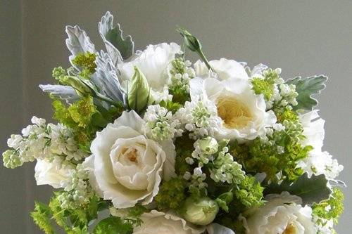bridal bouquet with “Patience” David Austin garden roses, white lisianthus, white lilac, bupleurum and dusty miller