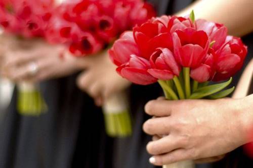 red tulip bridesmaids bouquets by Floral Verde LLC, photo by Mattson Pictures