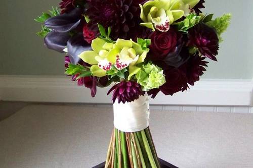 bridal bouquet with Hot Chocolate mini callas, burgundy dahlias, Black Bacarra roses, Mariska spray roses, green cymbidium orchids, bells of Ireland, and myrtle