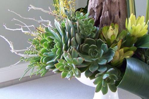 arrangement with manzanita branches, a reclaimed wood stump, succulents, aspidistra, berzelia, leucadendron, acacia, and flax in a ceramic pedestal bowl