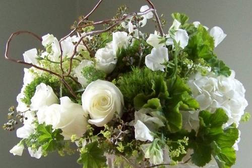 Centerpiece with white hydrangea, Polar Star roses, white sweet peas, white sweetheart roses, Green Trick dianthus, Jade trachellium, alchemilla, scented geranium, seeded eucalyptus and curly willow branches, in a recycled mache urn