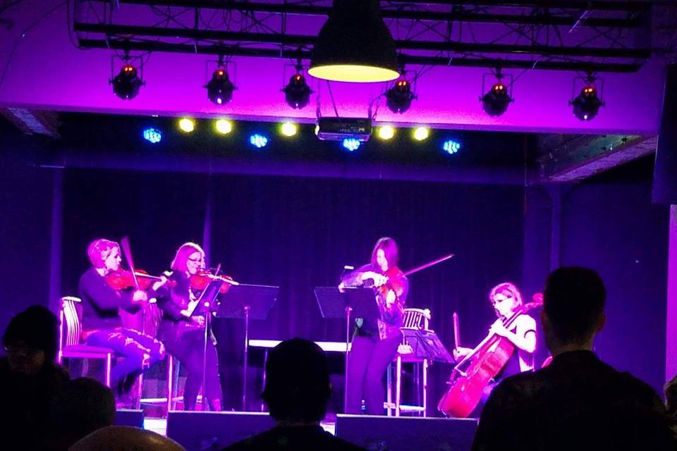 Stillwater String Quartet