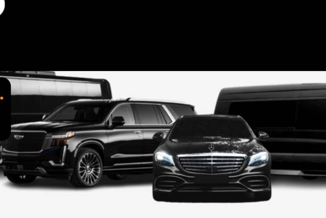 MATI LIMO LLC