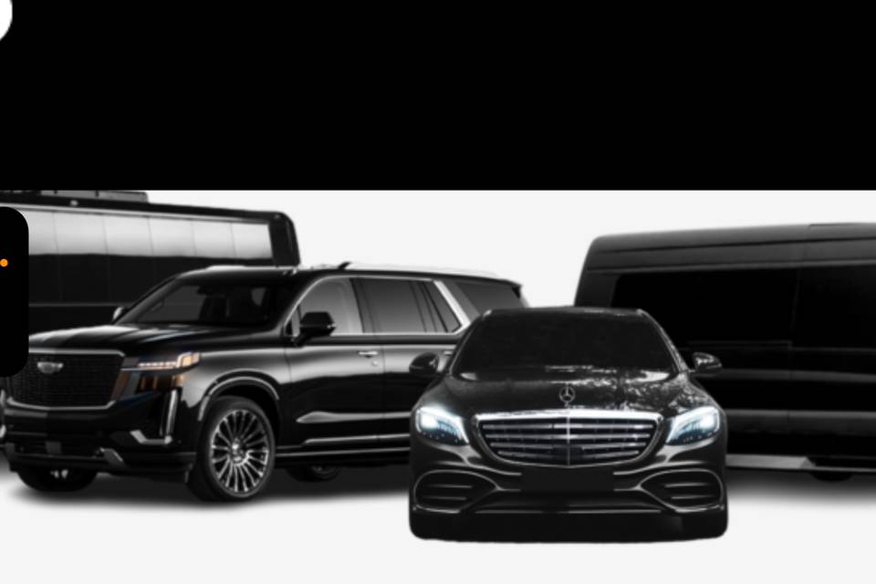 MATI LIMO LLC