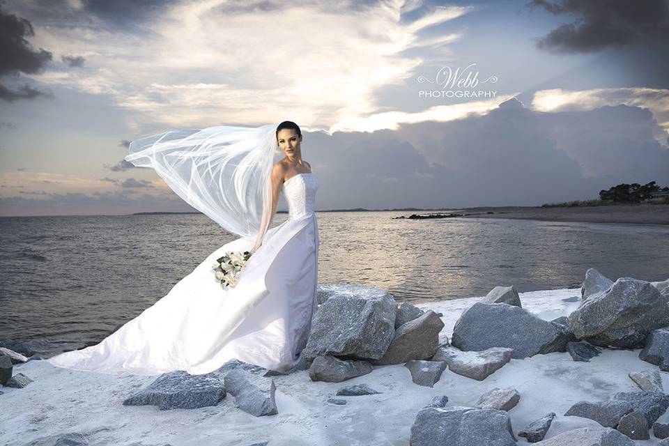 Beautiful Bridal at Edisto Beach SC.  Love the setting on rocks backed by fabulous sky and ocean.