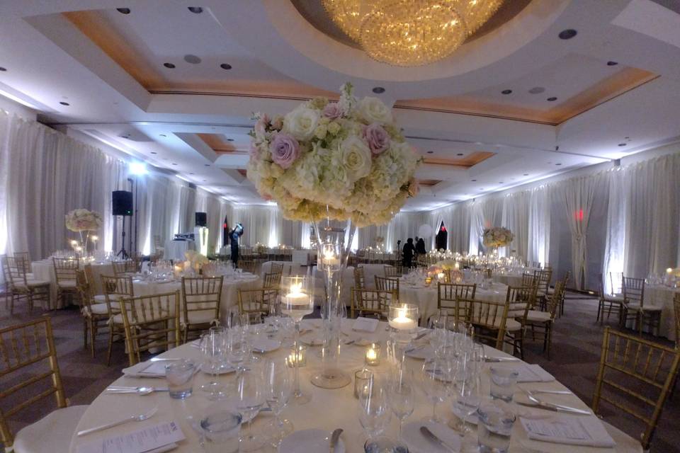 Ballroom draping/uplighitng