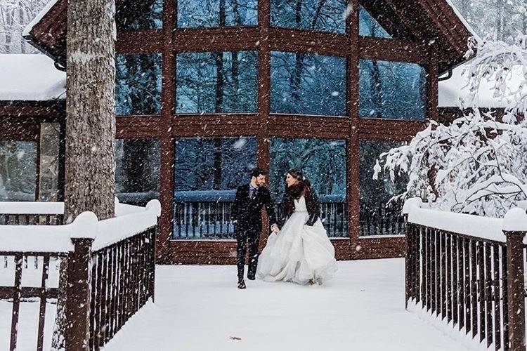 Snowy Lodge