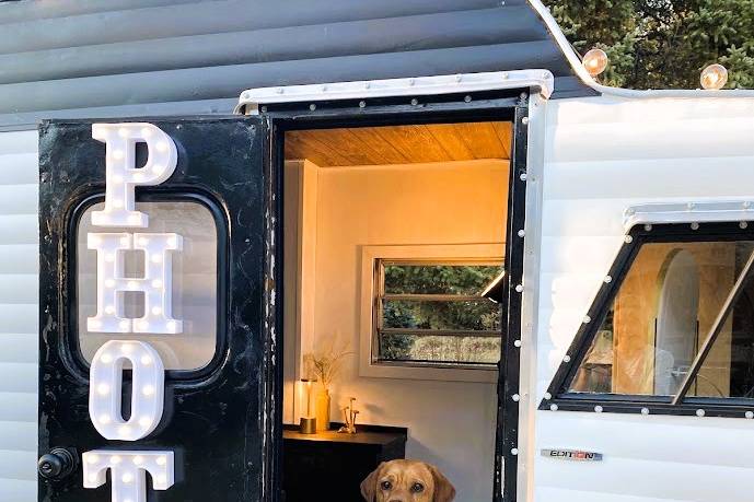 Dog interior