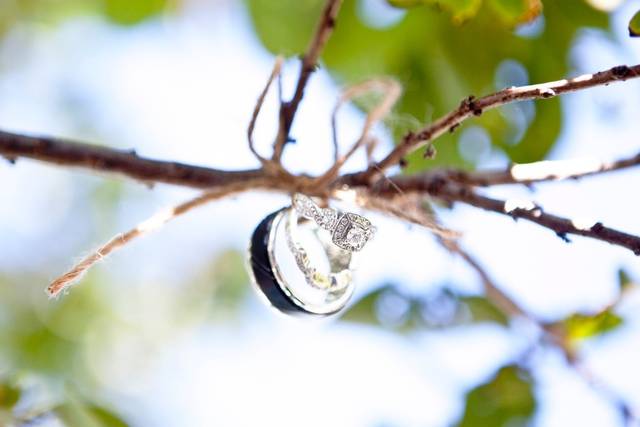 Sarah Giunta Photography