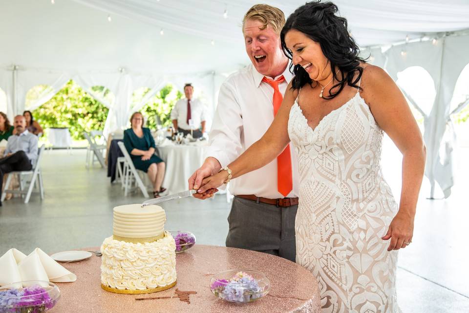 Cake Cutting