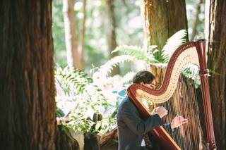 Stephan Haluska Harp