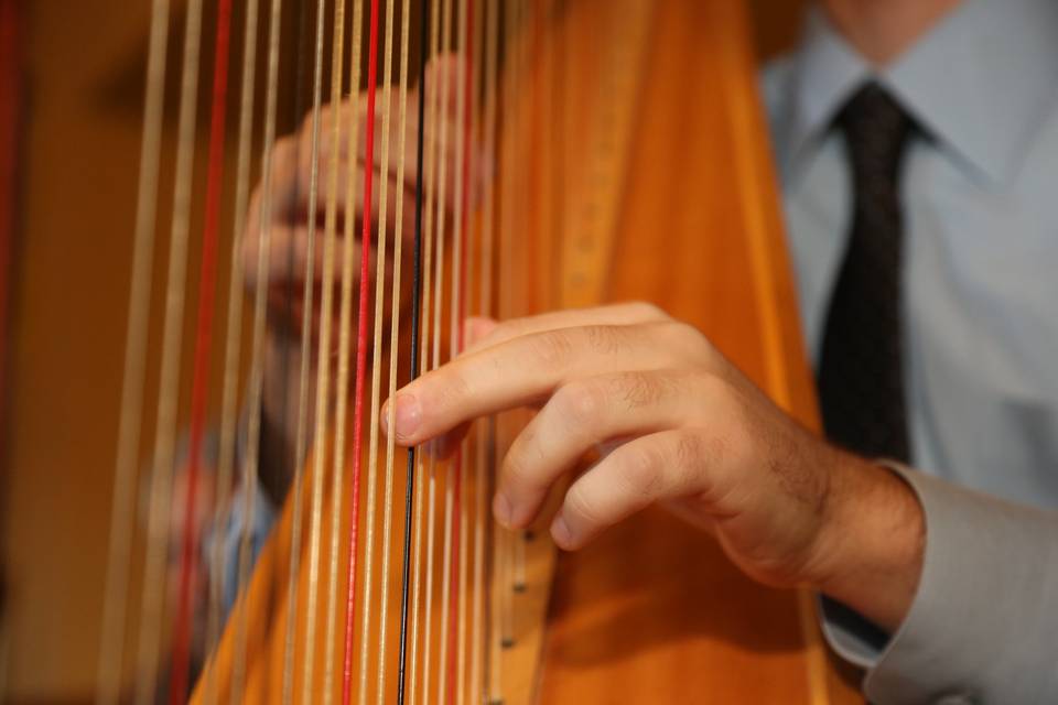 Harp strings