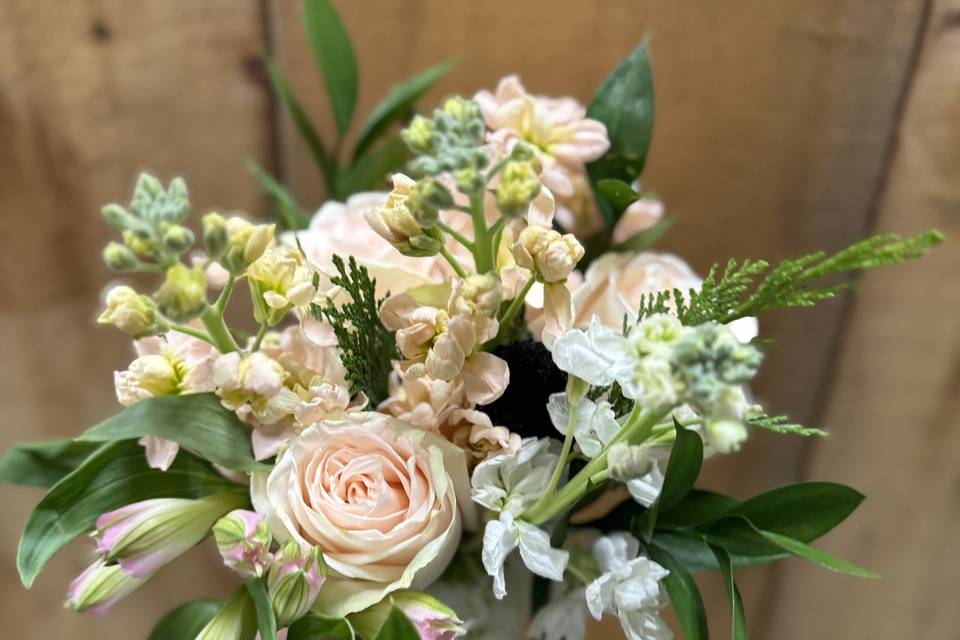Soft Pink w/ White!