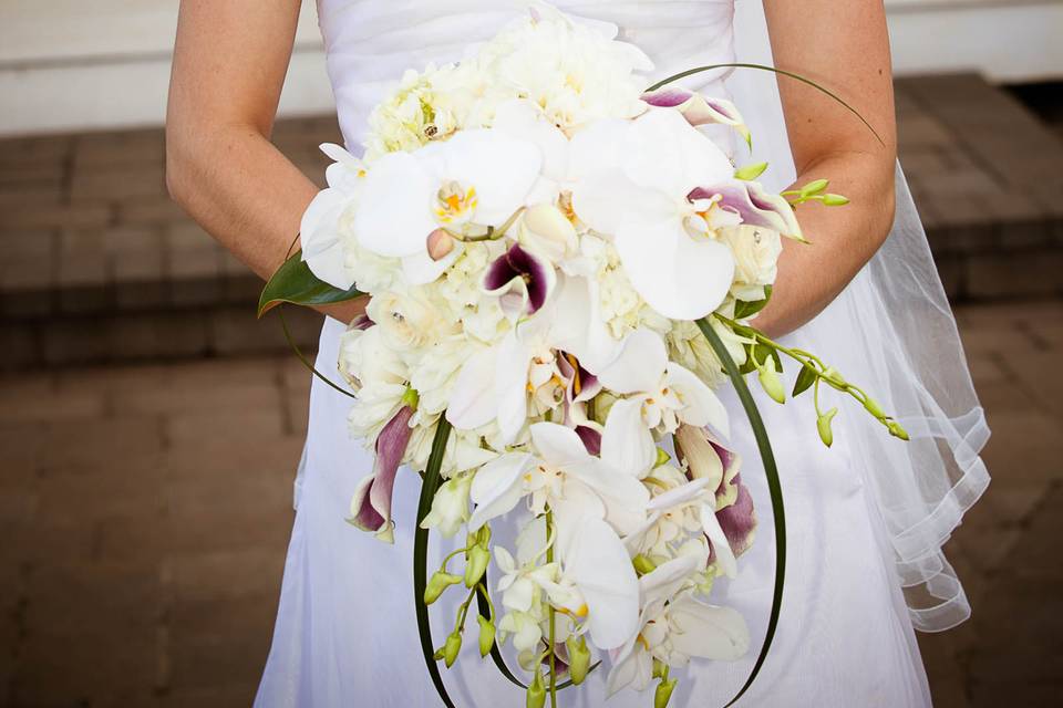 Beautiful bride