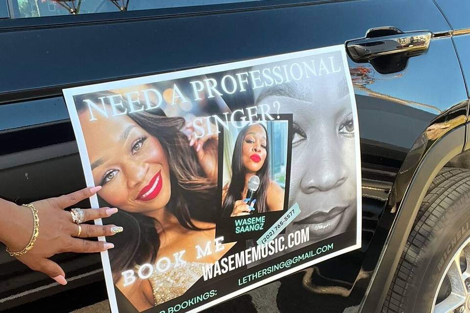 Waseme Saangz, LLC