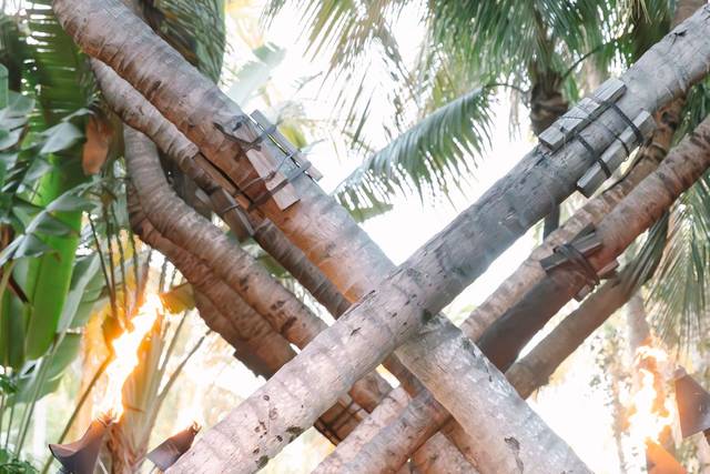 Romantic newlywed portraits