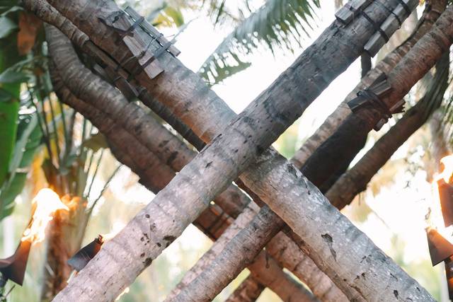 Oceanfront newlywed kiss