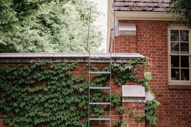 Brick Walls Covered in Ivy