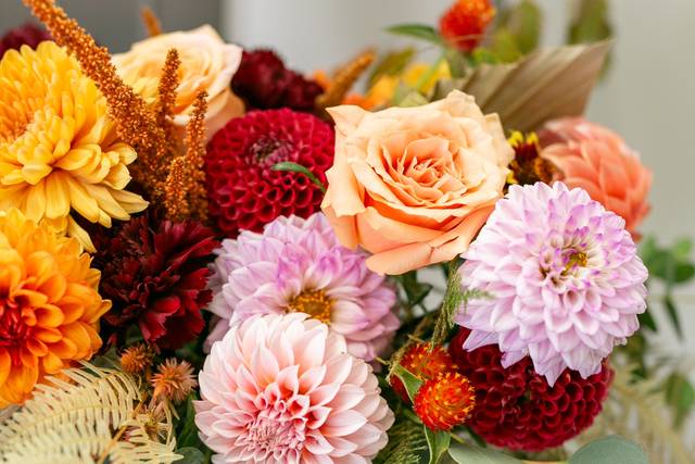 Farm fresh dahlias
