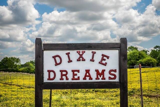 Dixie Dreams
