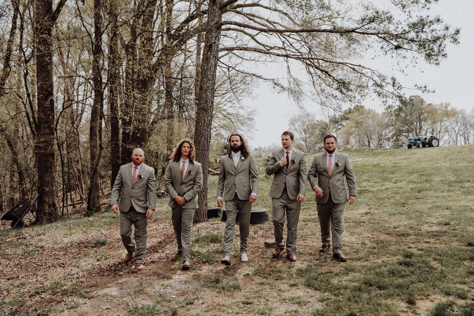 Dixie Dreams