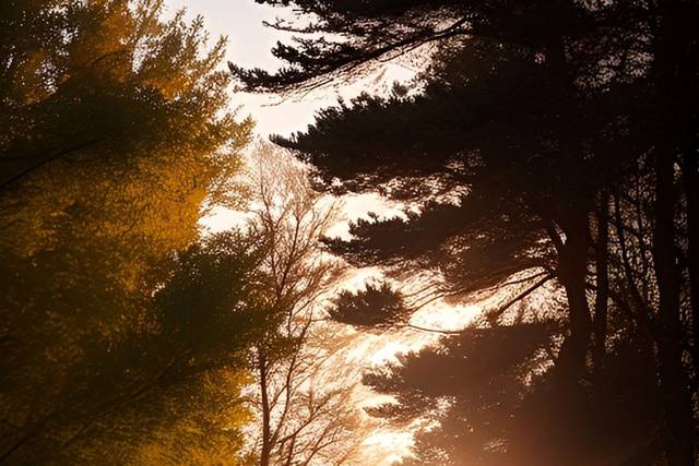 Enjoy Nature