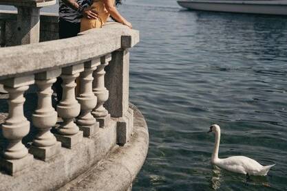 Love is in the Air