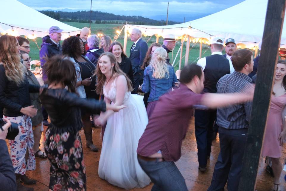 Wedding Party Dancing