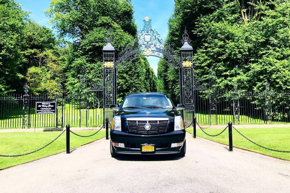 NY STAR LIMOUSINE