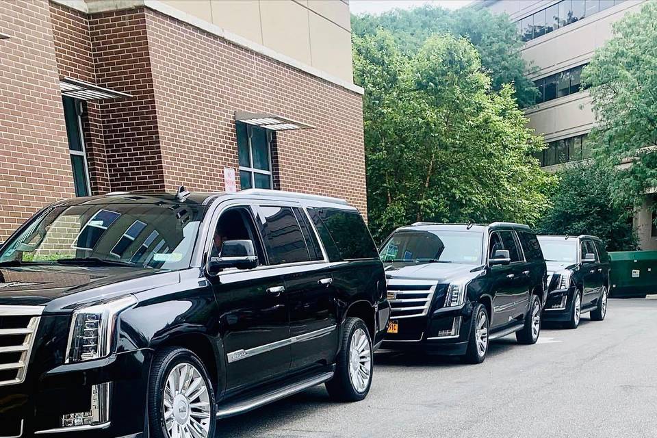 NY STAR LIMOUSINE