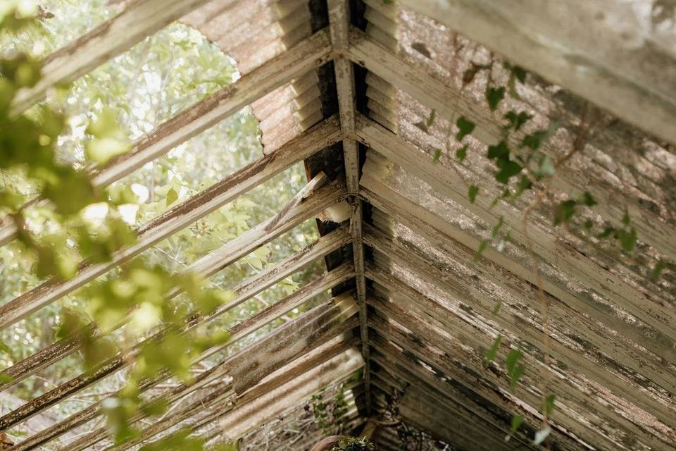 Boho Greenhouse